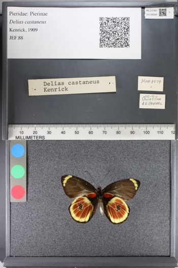 Media type: image;   Entomology 128266